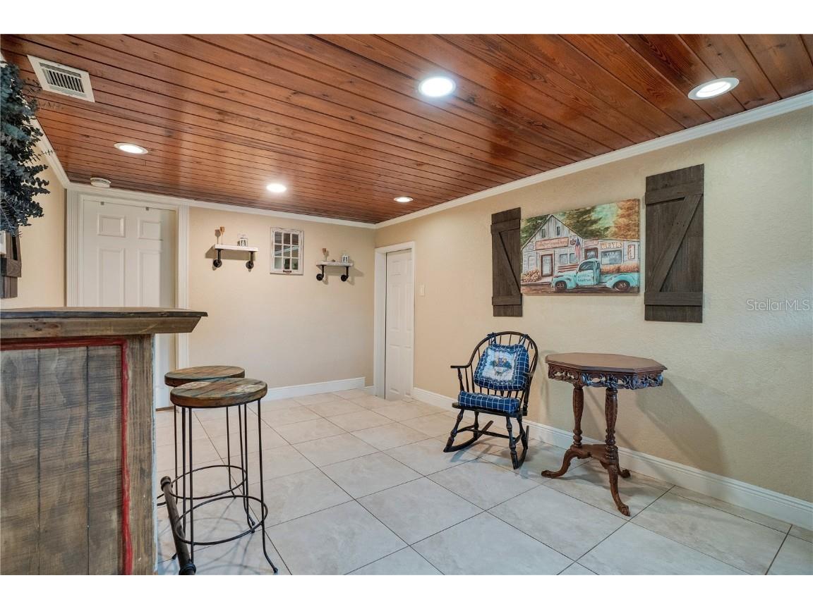 6746 Osceola Drive Mount Dora FL 32757 - LAKE OLA O6365628 image15