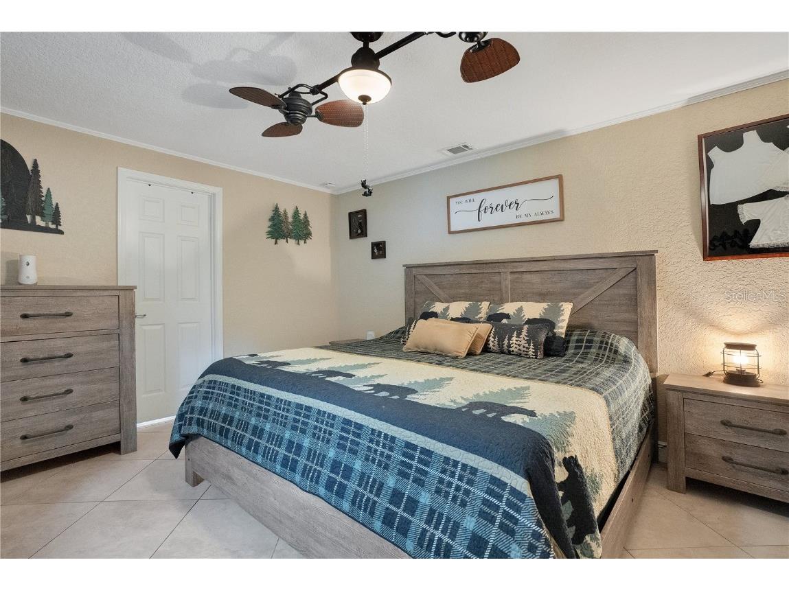 6746 Osceola Drive Mount Dora FL 32757 - LAKE OLA O6365628 image17