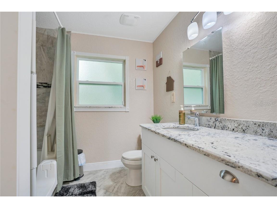 6746 Osceola Drive Mount Dora FL 32757 - LAKE OLA O6365628 image21