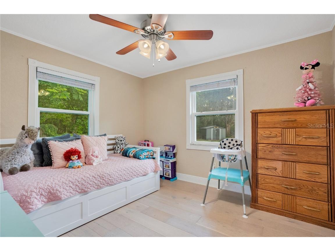 6746 Osceola Drive Mount Dora FL 32757 - LAKE OLA O6365628 image22