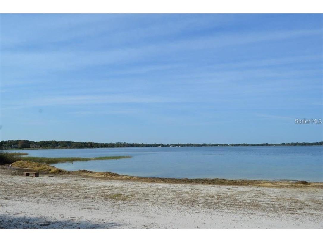 6746 Osceola Drive Mount Dora FL 32757 - LAKE OLA O6365628 image41