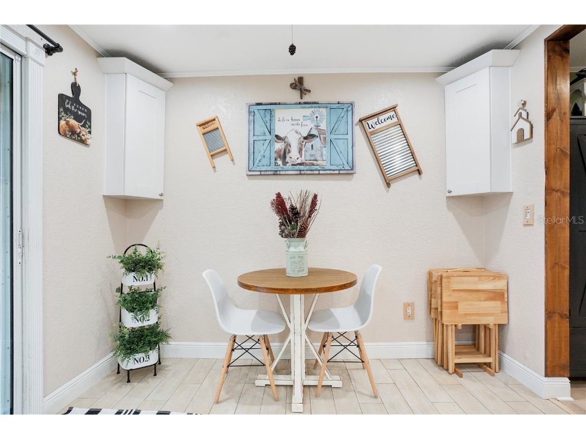 6746 Osceola Drive Mount Dora FL 32757 - LAKE OLA O6365628 image8