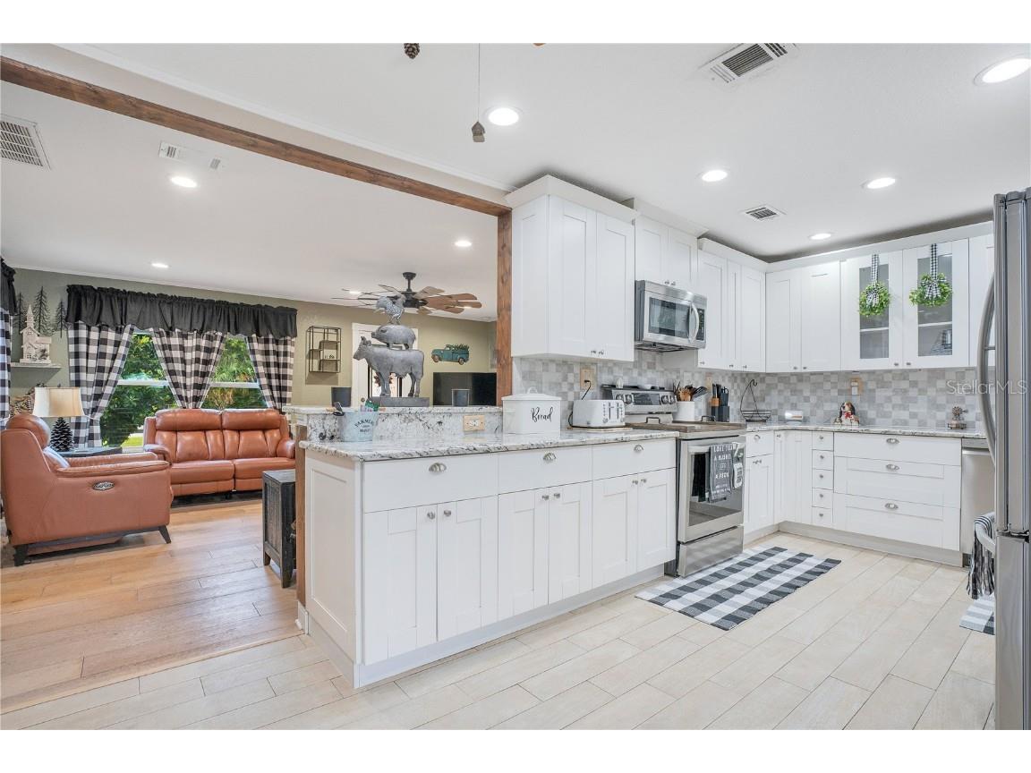 6746 Osceola Drive Mount Dora FL 32757 - LAKE OLA O6365628 image9