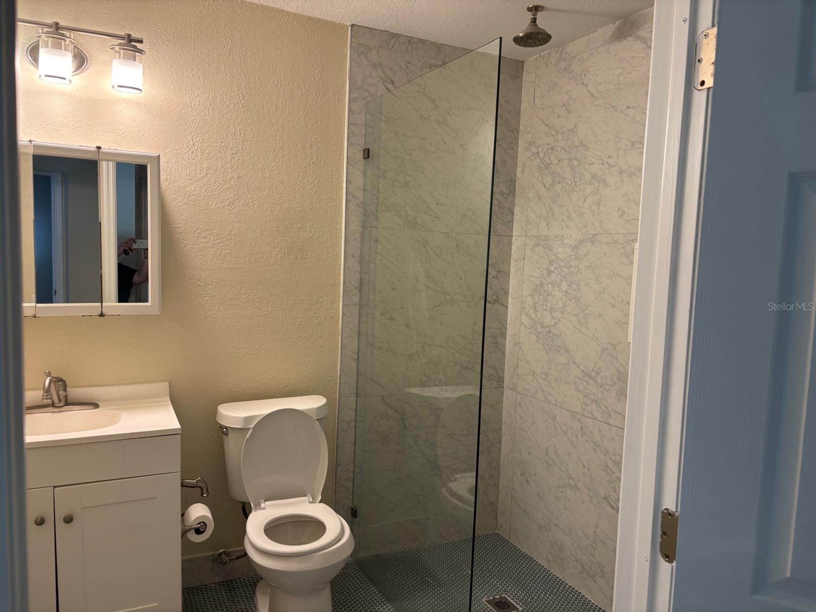 6747 Ralston Beach Circle Tampa FL 33614 TB8495856 image8