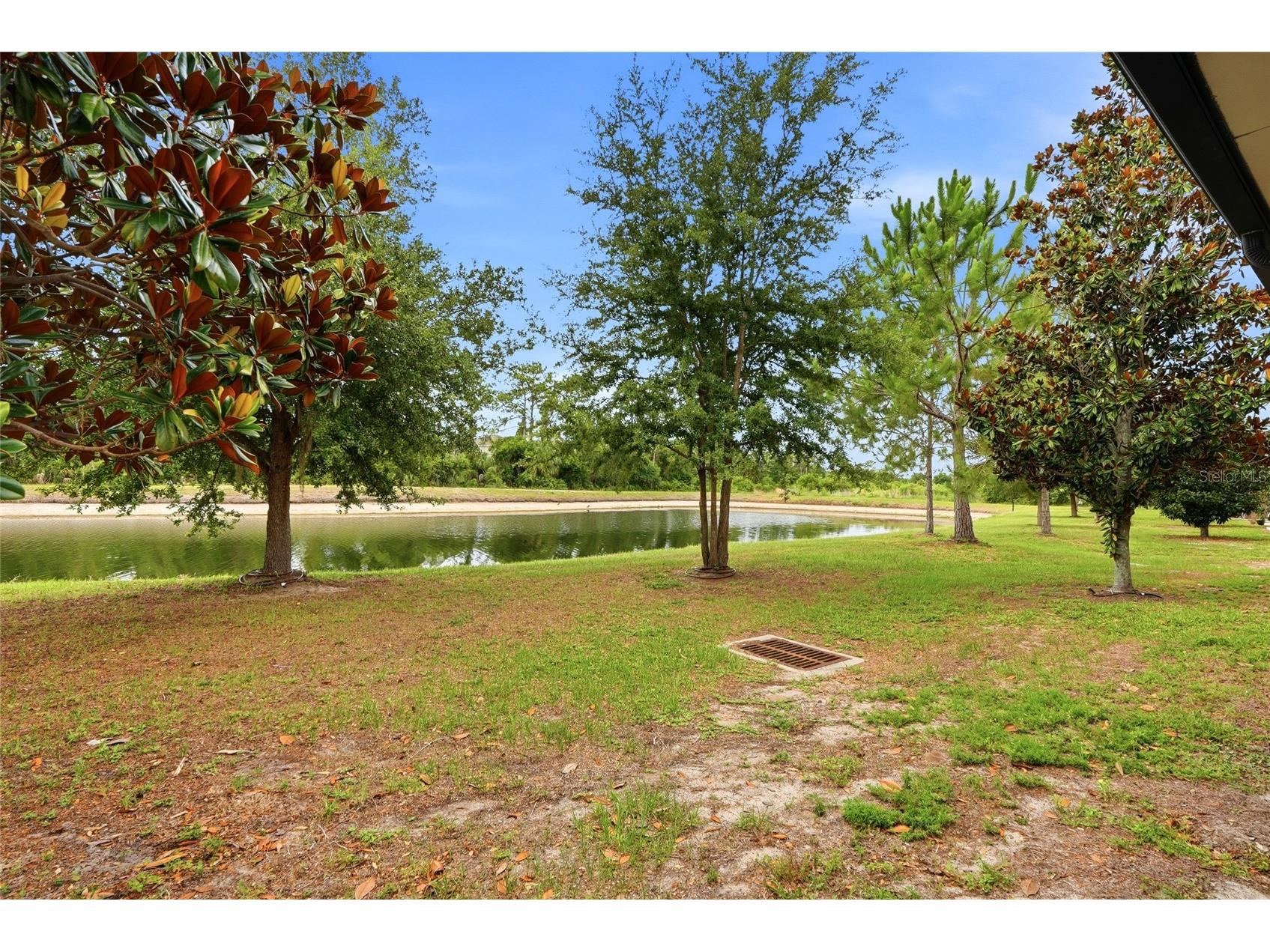 6748 Holly Heath Drive Riverview FL 33578 TB8517523 image29
