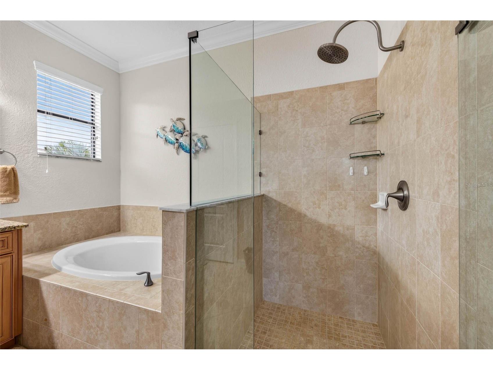 6749 Wild Lake Terrace Bradenton FL 34212 TB8519597 image22