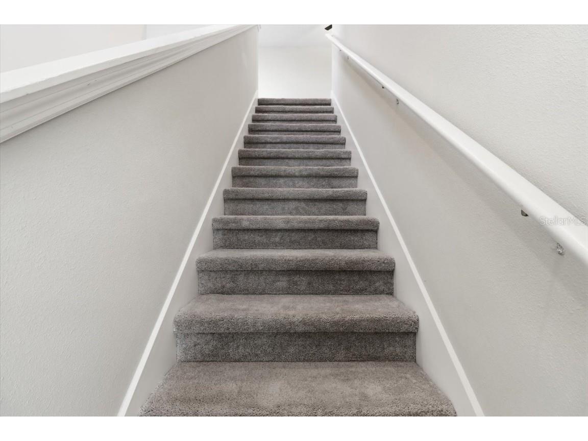 675 Argyll Drive Spring Hill FL 34609 TB8443355 image21