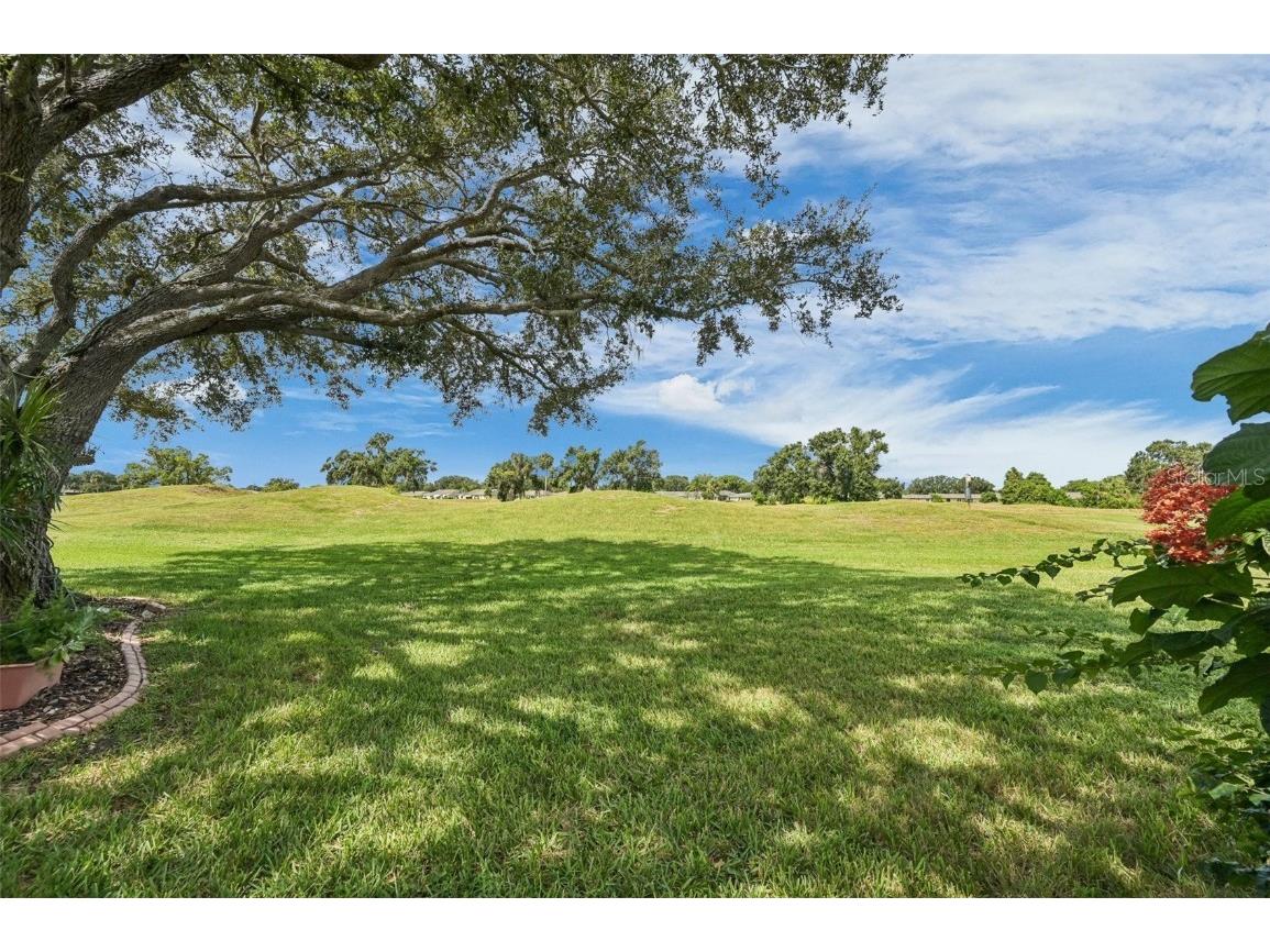 675 Masterpiece Drive Sun City Center FL 33573 TB8428243 image40