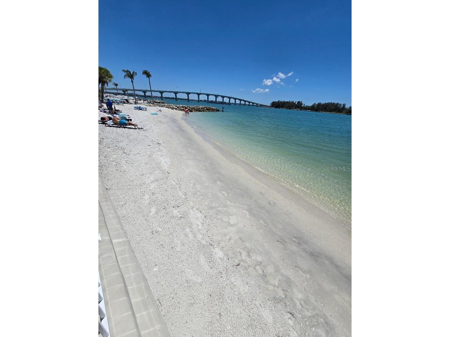 675 S Gulfview Boulevard #505 Clearwater Beach FL 33767 TB8502122 image56