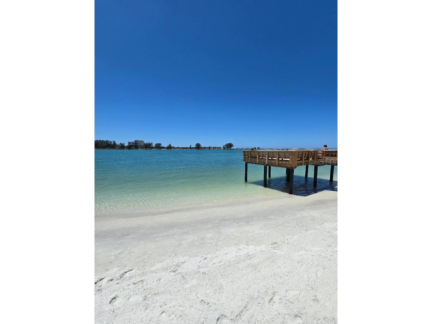 675 S Gulfview Boulevard #505 Clearwater Beach FL 33767 TB8502122 image57