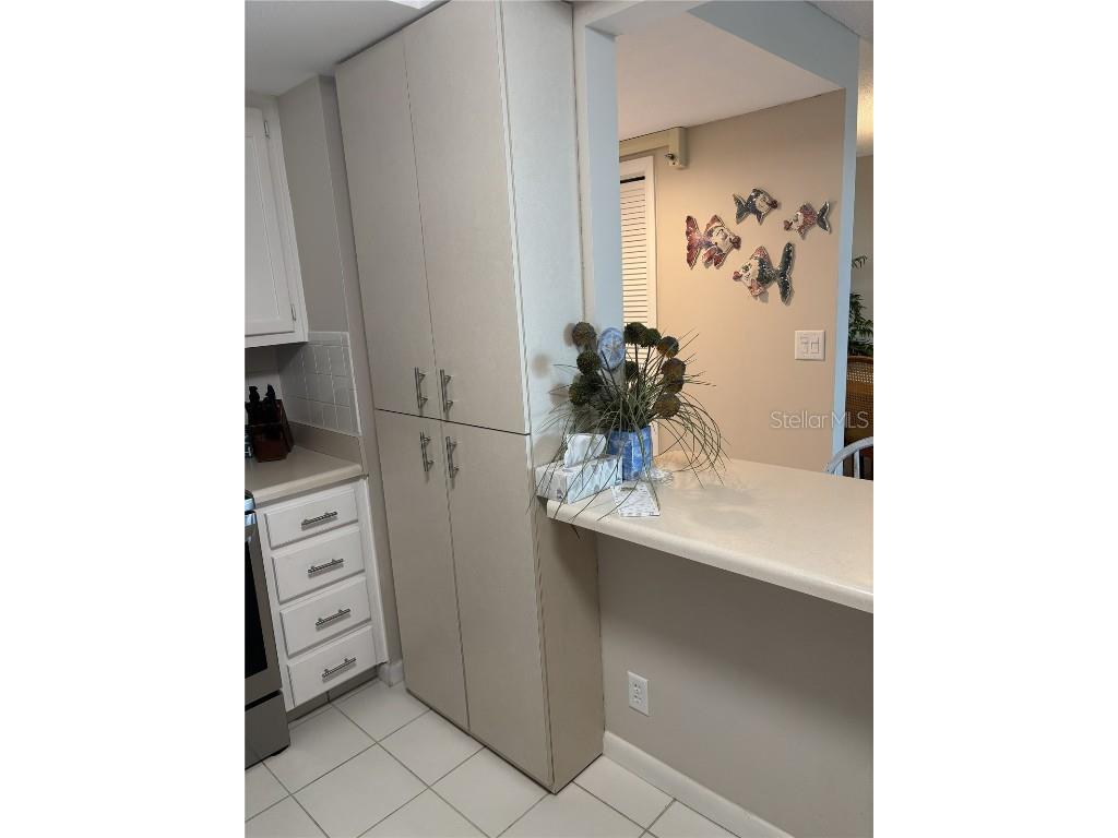 675 S Gulfview Boulevard #808 Clearwater Beach FL 33767 TB8439940 image11