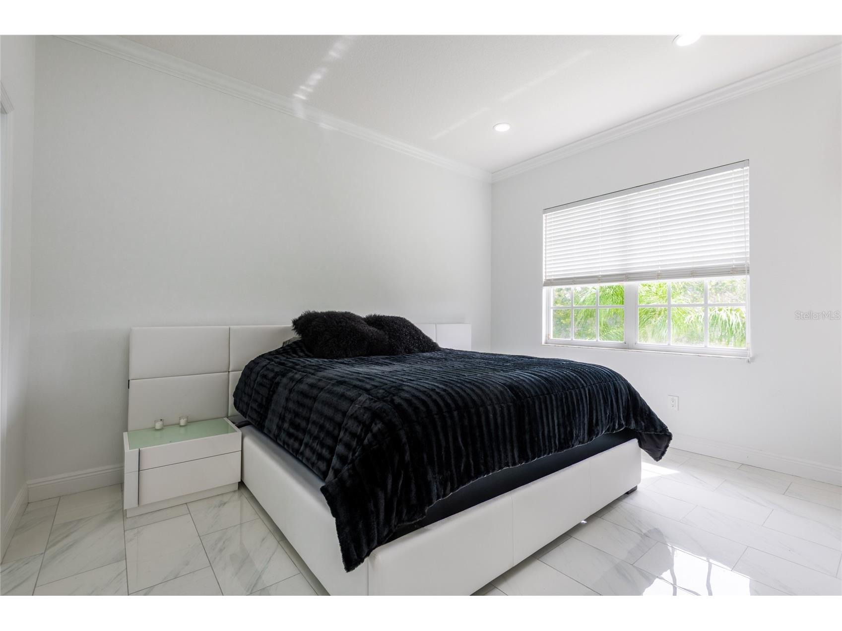 6750 Dali Avenue #206 Land O Lakes FL 34637 TB8516517 image18