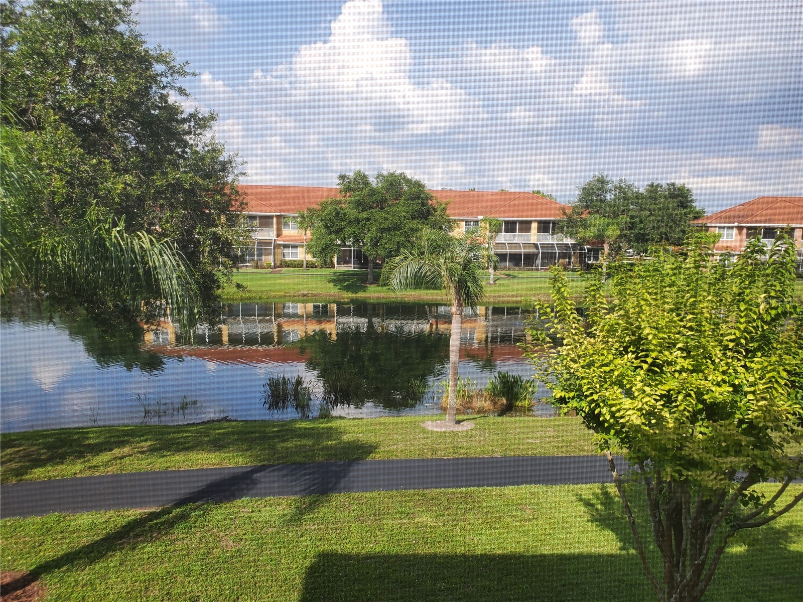6750 Dali Avenue #206 Land O Lakes FL 34637 TB8516517 image29