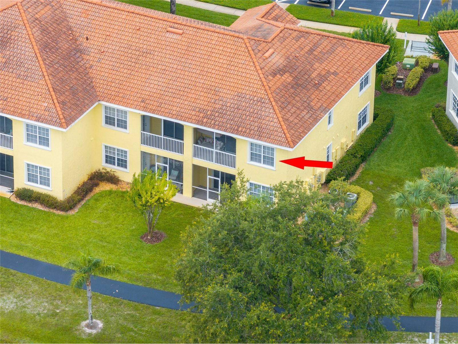 6750 Dali Avenue #206 Land O Lakes FL 34637 TB8516517 image32