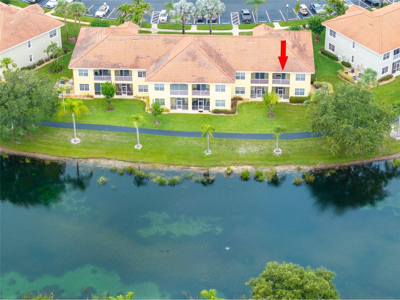 6750 Dali Avenue #206 Land O Lakes FL 34637 TB8516517 image33