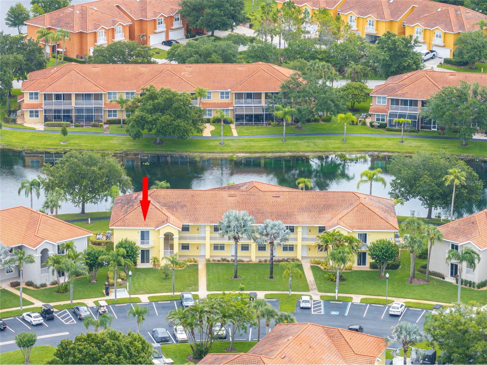6750 Dali Avenue #206 Land O Lakes FL 34637 TB8516517 image34