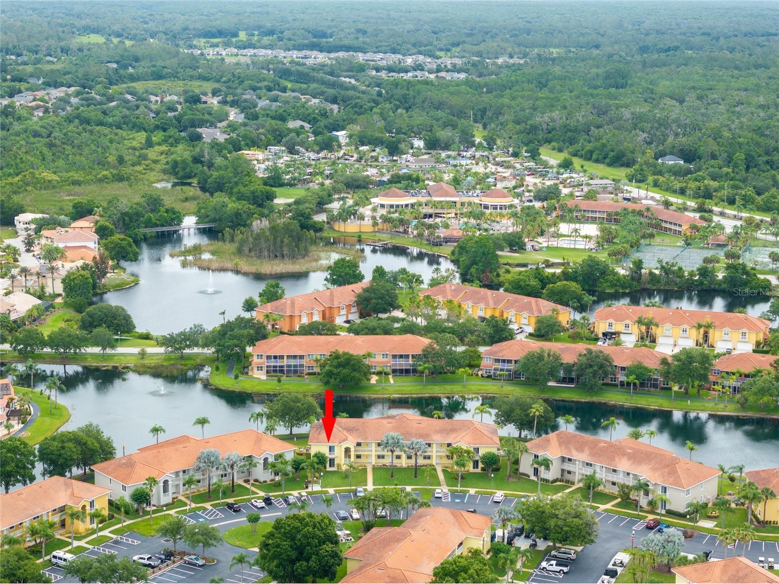 6750 Dali Avenue #206 Land O Lakes FL 34637 TB8516517 image35