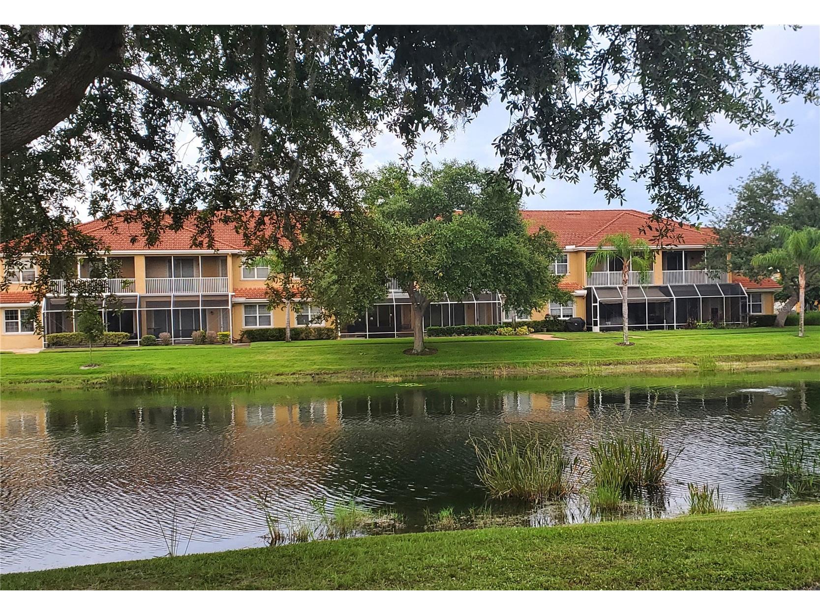6750 Dali Avenue #206 Land O Lakes FL 34637 TB8516517 image4