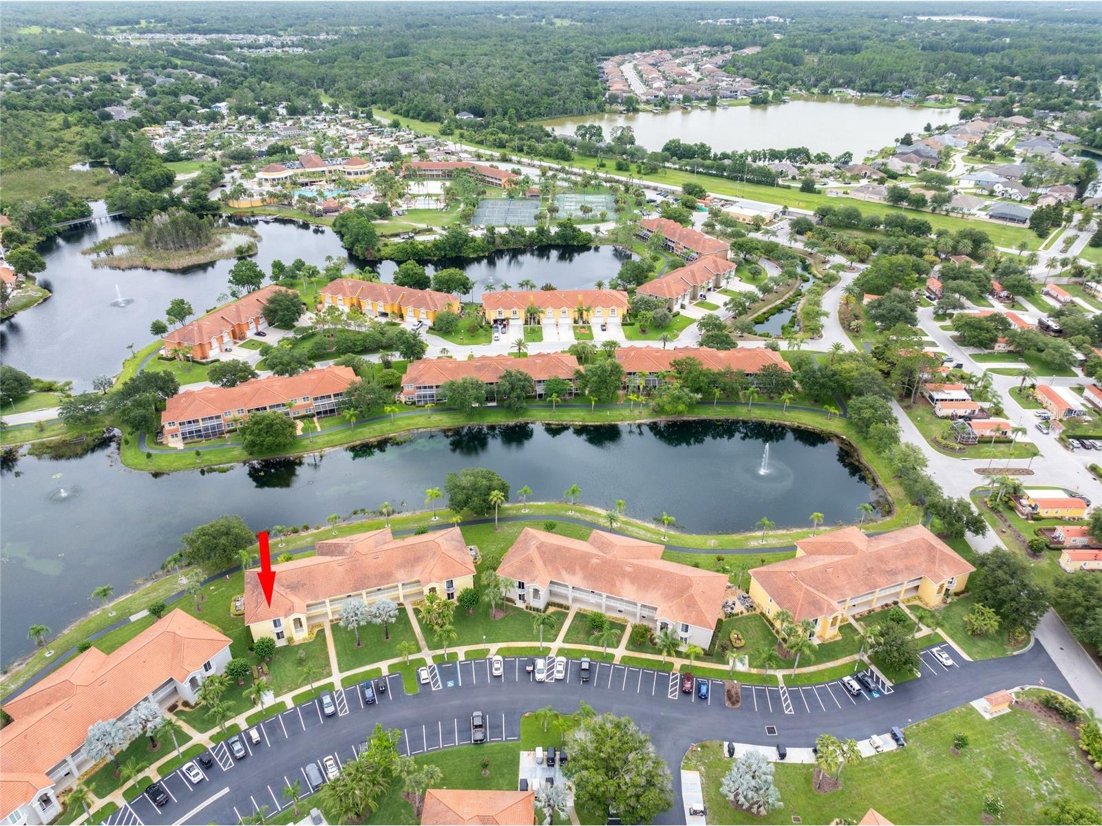 6750 Dali Avenue #206 Land O Lakes FL 34637 TB8516517 image5