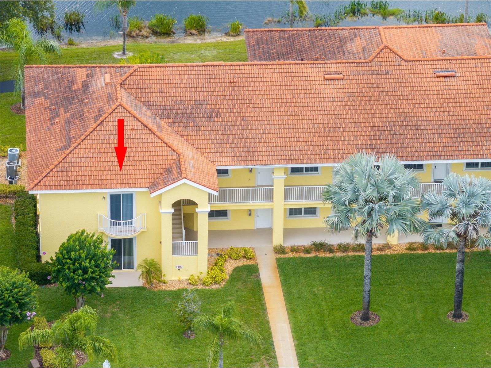 6750 Dali Avenue #206 Land O Lakes FL 34637 TB8516517 image6