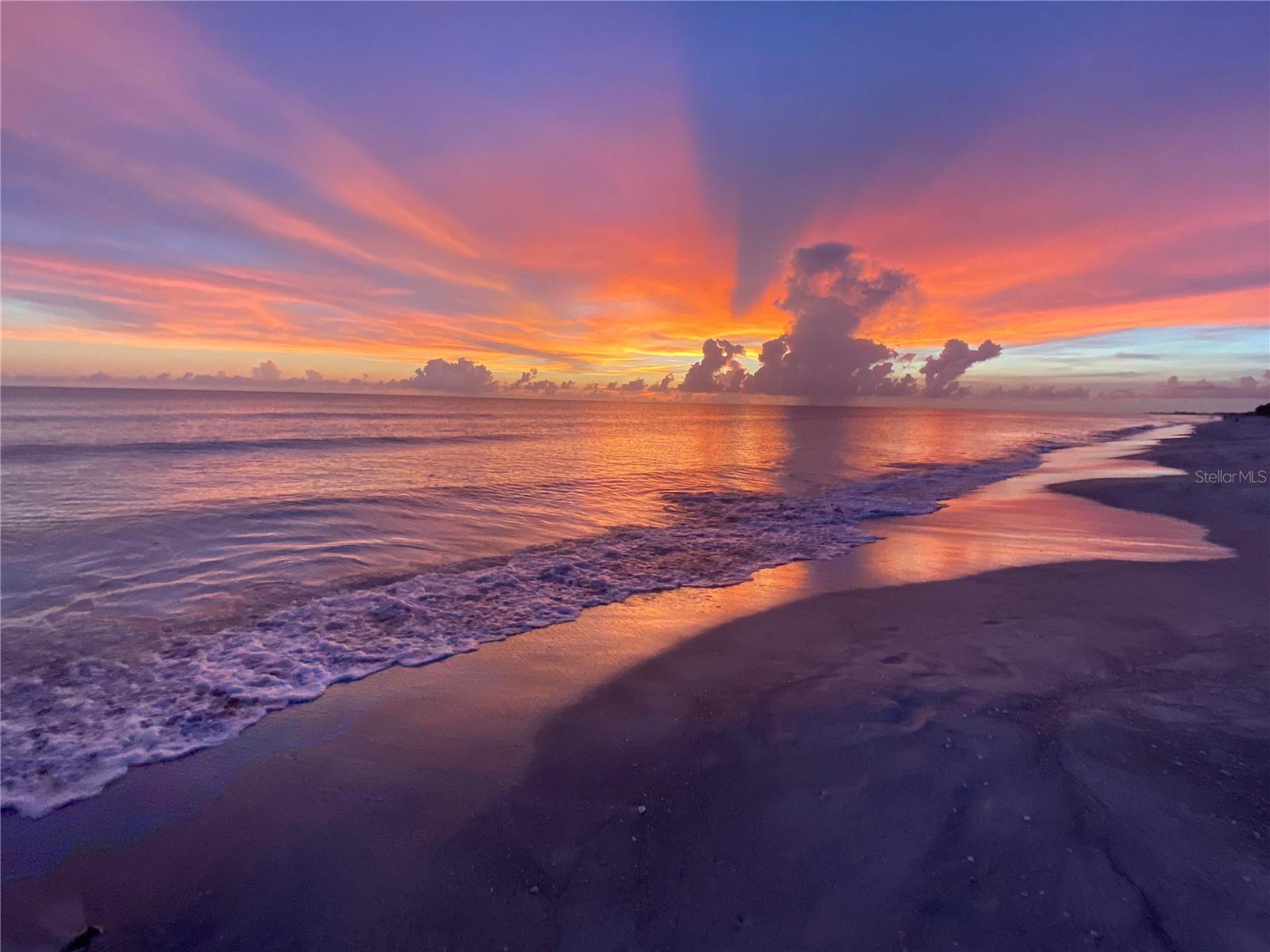 6750 Gulf Of Mexico Drive #151 Longboat Key FL 34228 - BISHOPS BAYOU A4685668 image49