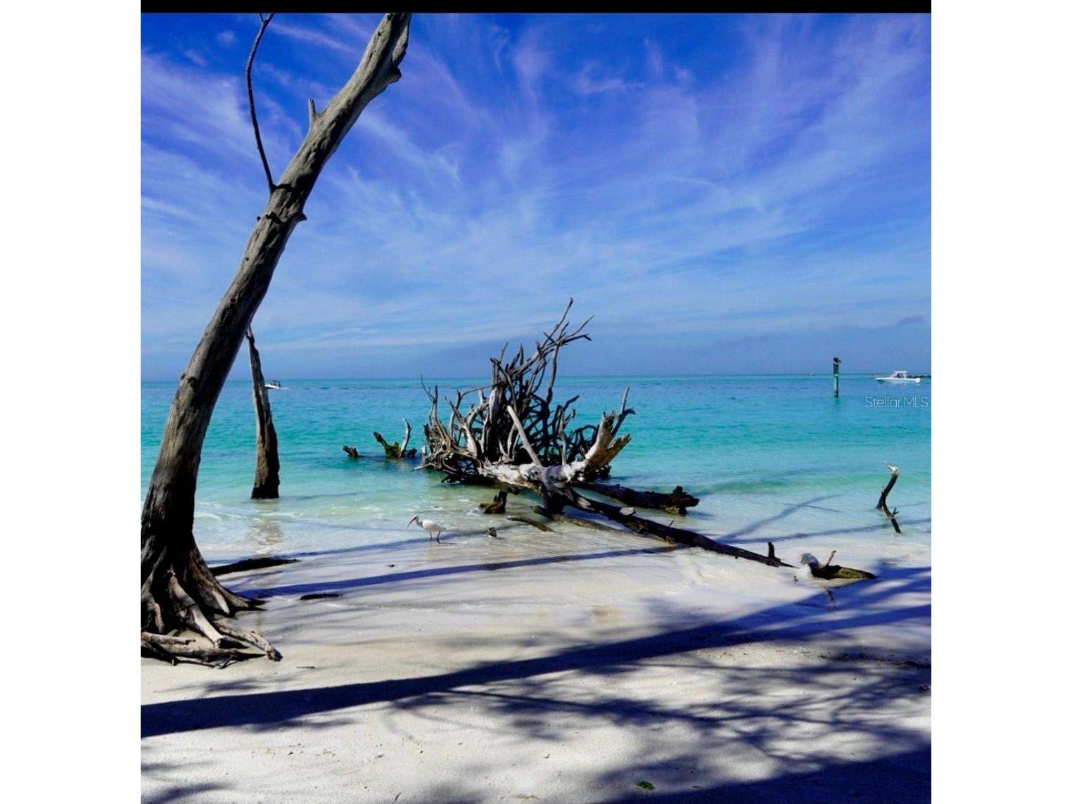 6750 Gulf Of Mexico Drive #151 Longboat Key FL 34228 - BISHOPS BAYOU A4685668 image55