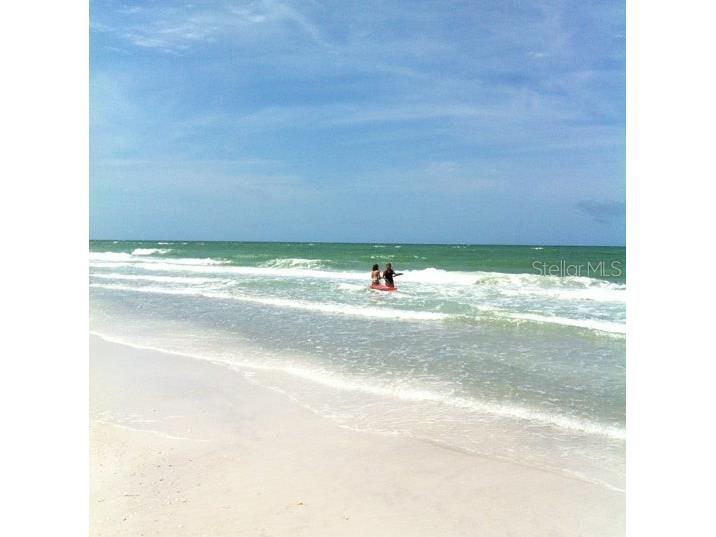 6750 Gulf Of Mexico Drive #151 Longboat Key FL 34228 - BISHOPS BAYOU A4685668 image56