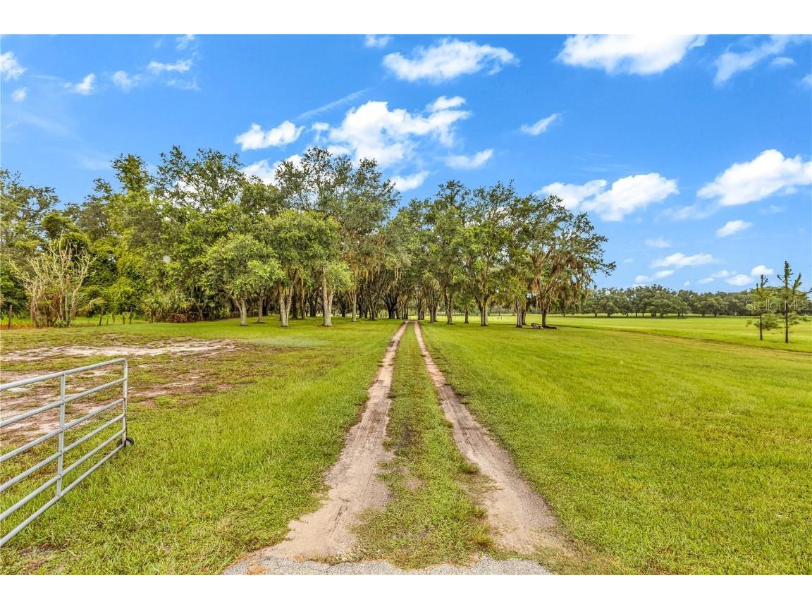 6750 N San Juan Terrace Crystal River FL 34428 V4944598 image3