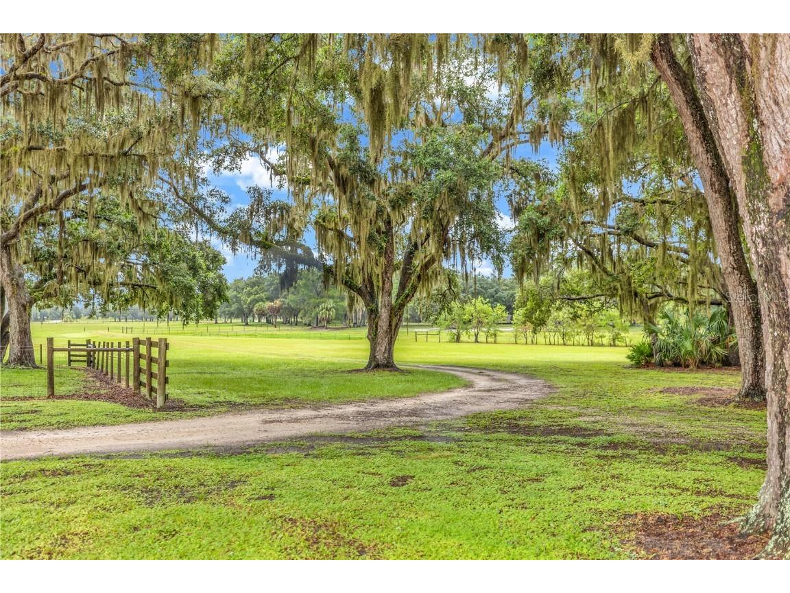 6750 N San Juan Terrace Crystal River FL 34428 V4944598 image85