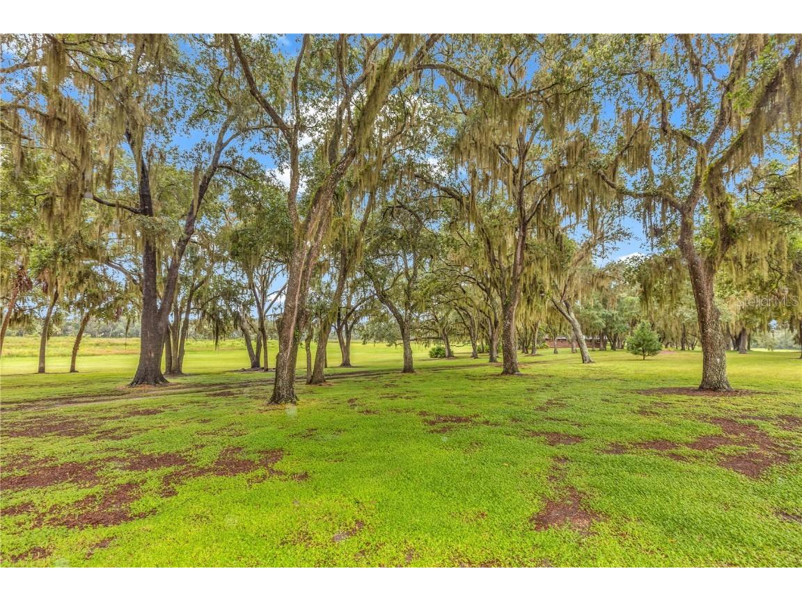 6750 N San Juan Terrace Crystal River FL 34428 V4944598 image86