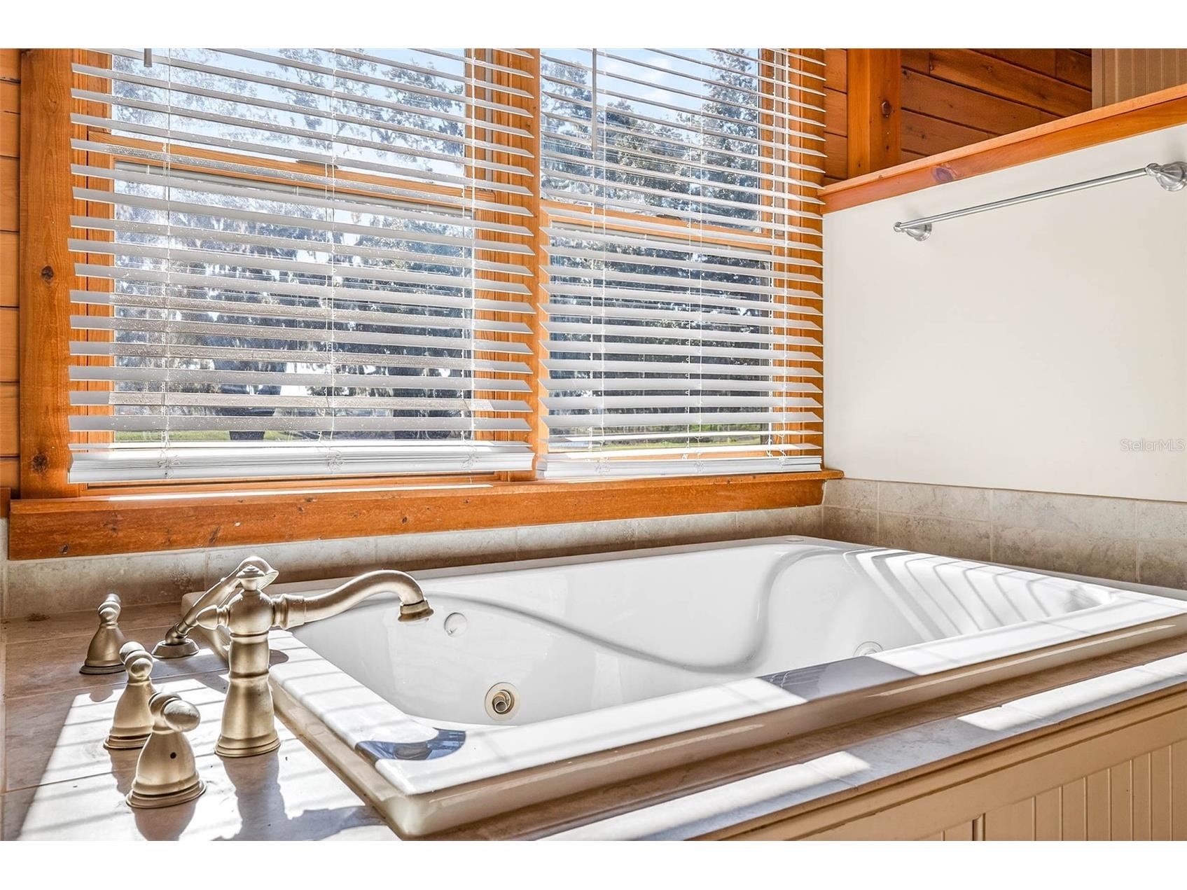 6750 Sutton Oaks Lane Zephyrhills FL 33541 TB8461931 image36