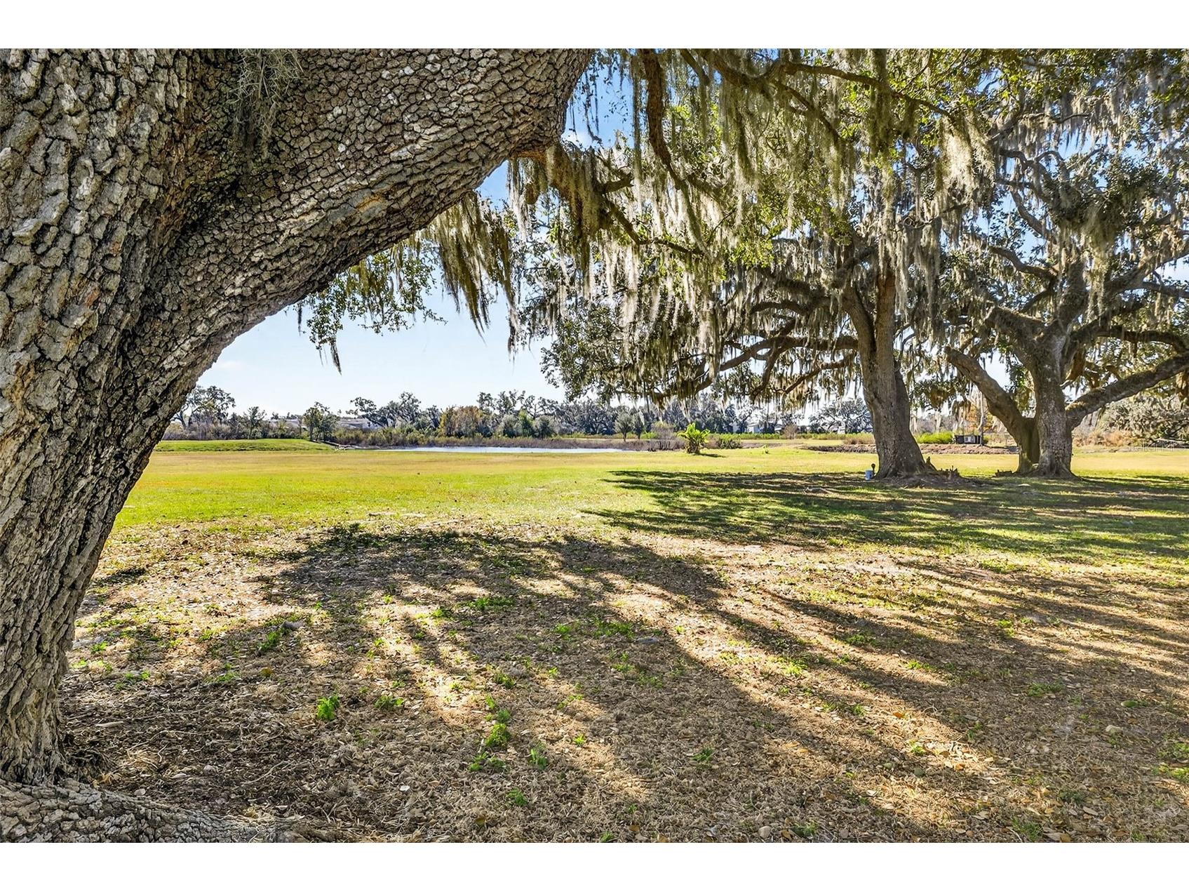 6750 Sutton Oaks Lane Zephyrhills FL 33541 TB8461931 image63