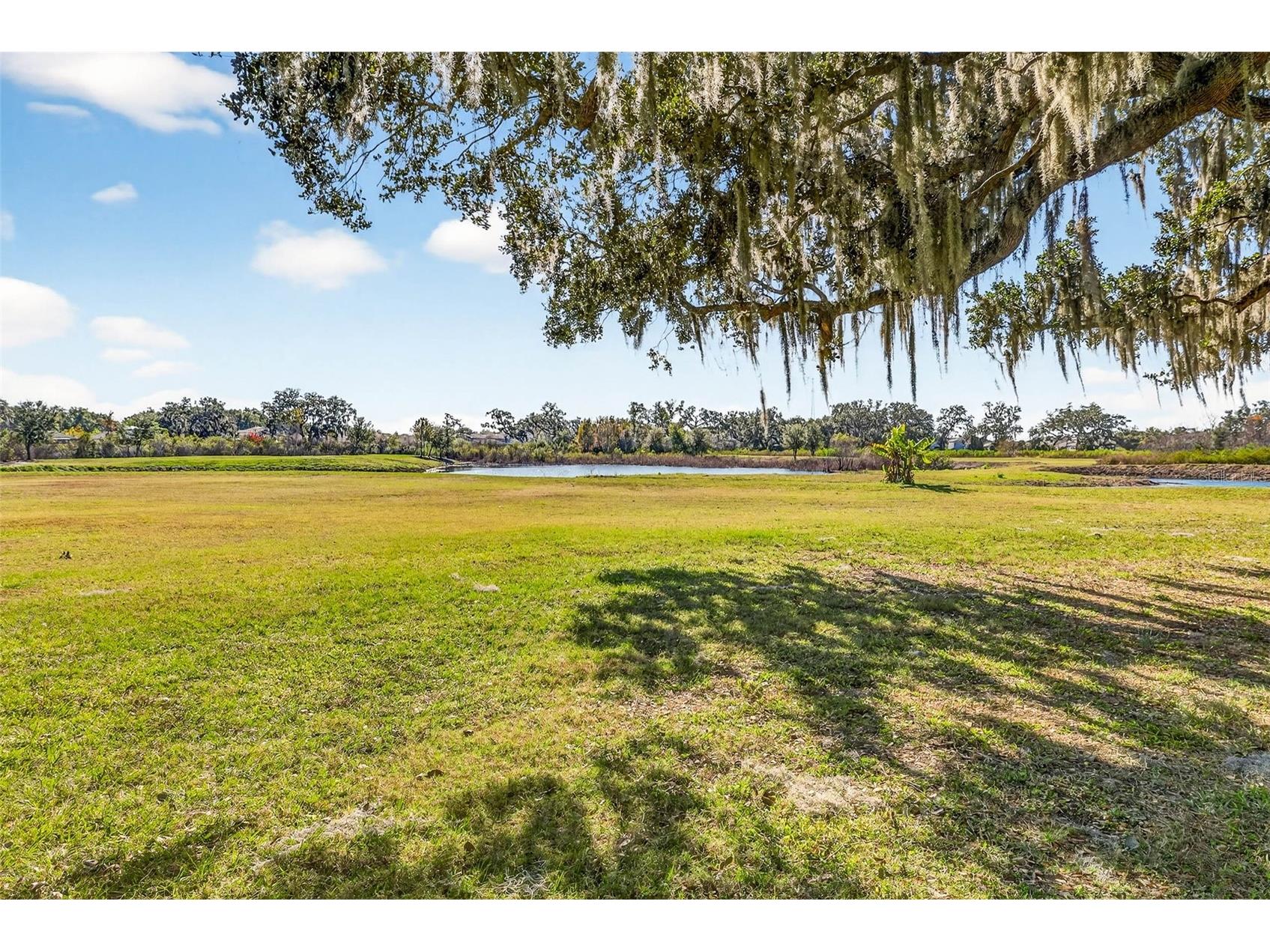 6750 Sutton Oaks Lane Zephyrhills FL 33541 TB8461931 image64