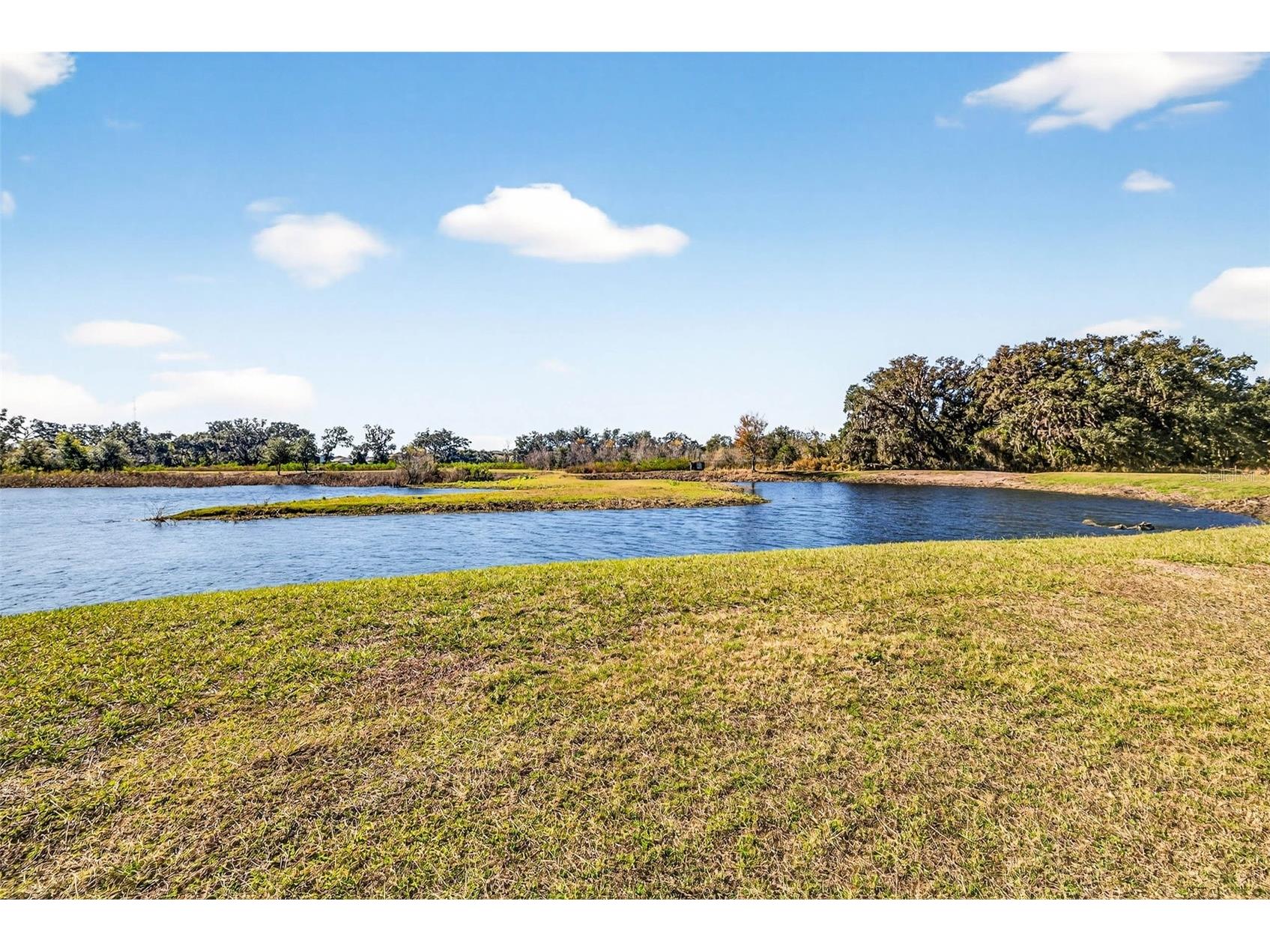 6750 Sutton Oaks Lane Zephyrhills FL 33541 TB8461931 image65