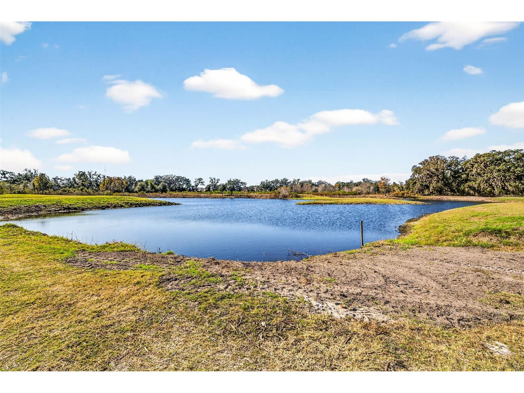 6750 Sutton Oaks Lane Zephyrhills FL 33541 TB8461931 image67