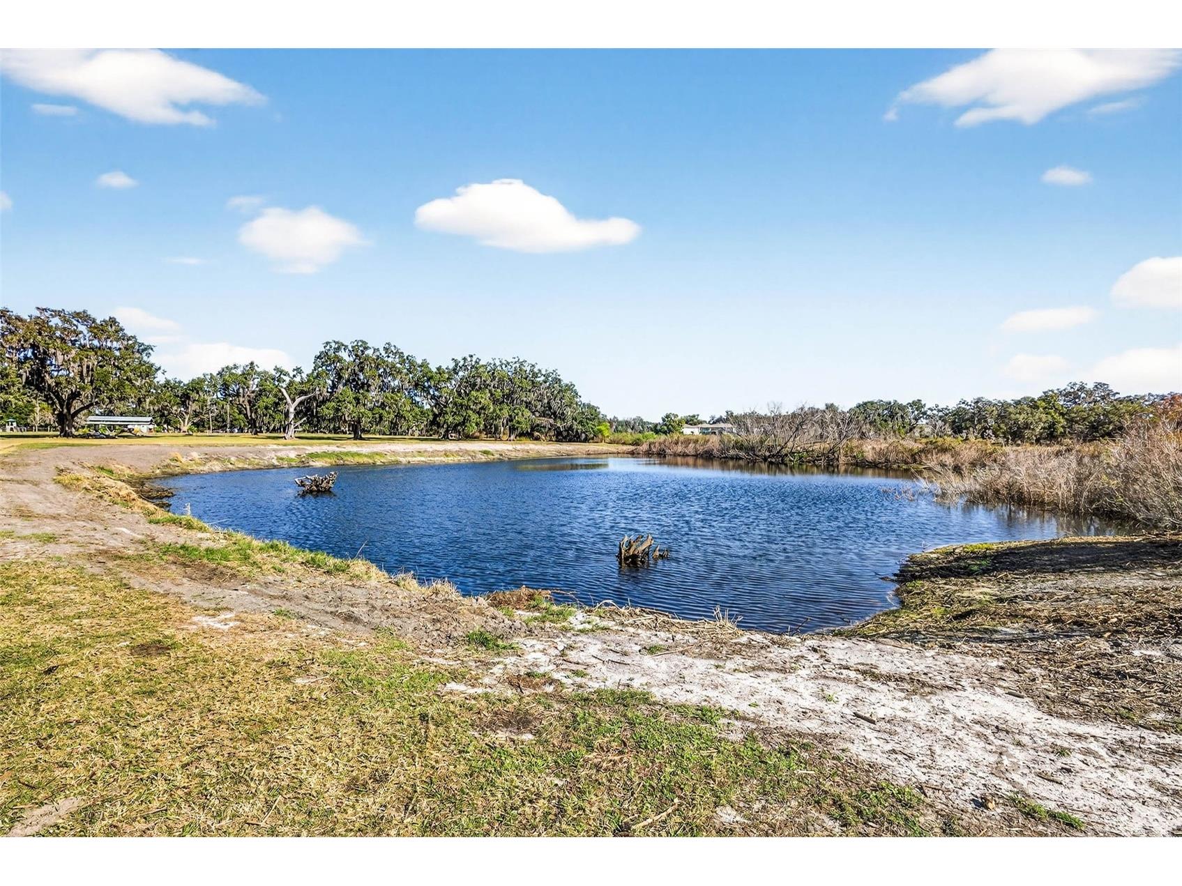 6750 Sutton Oaks Lane Zephyrhills FL 33541 TB8461931 image68