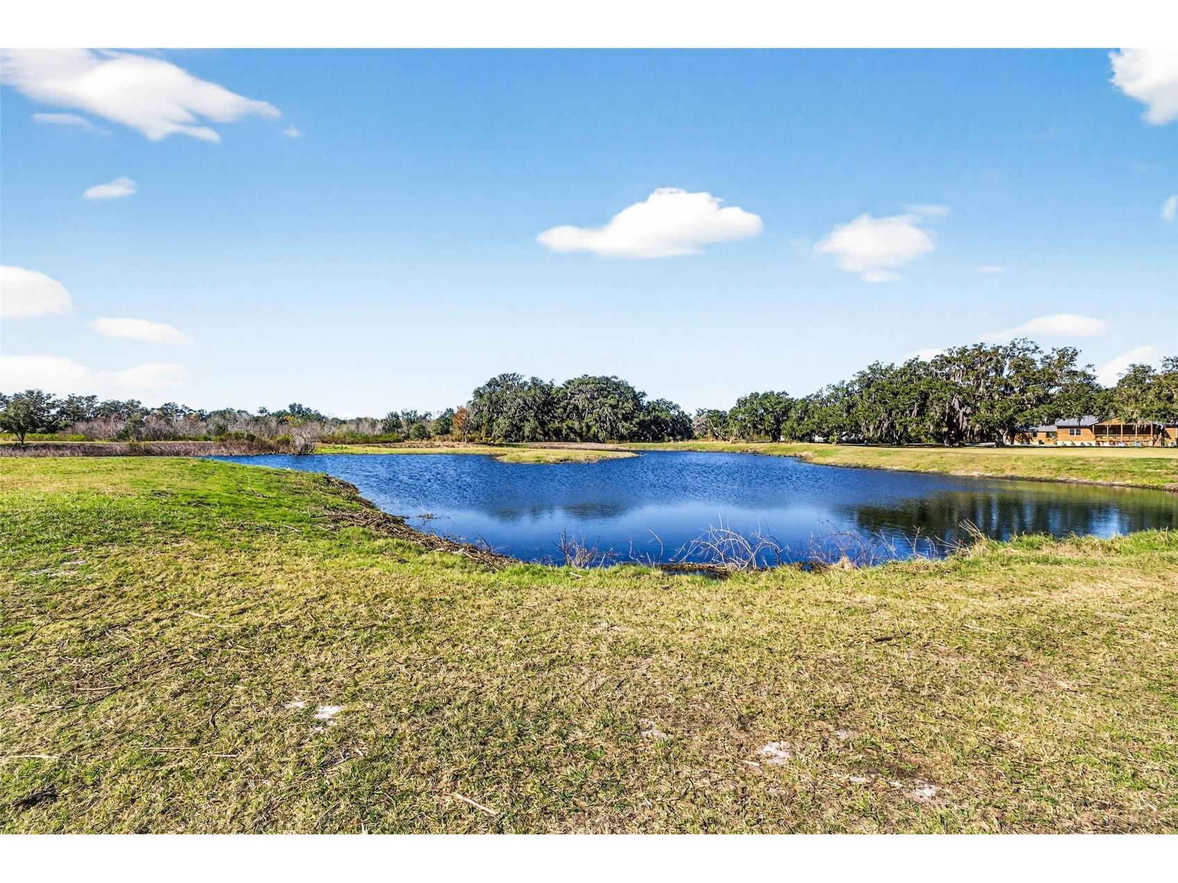 6750 Sutton Oaks Lane Zephyrhills FL 33541 TB8461931 image70