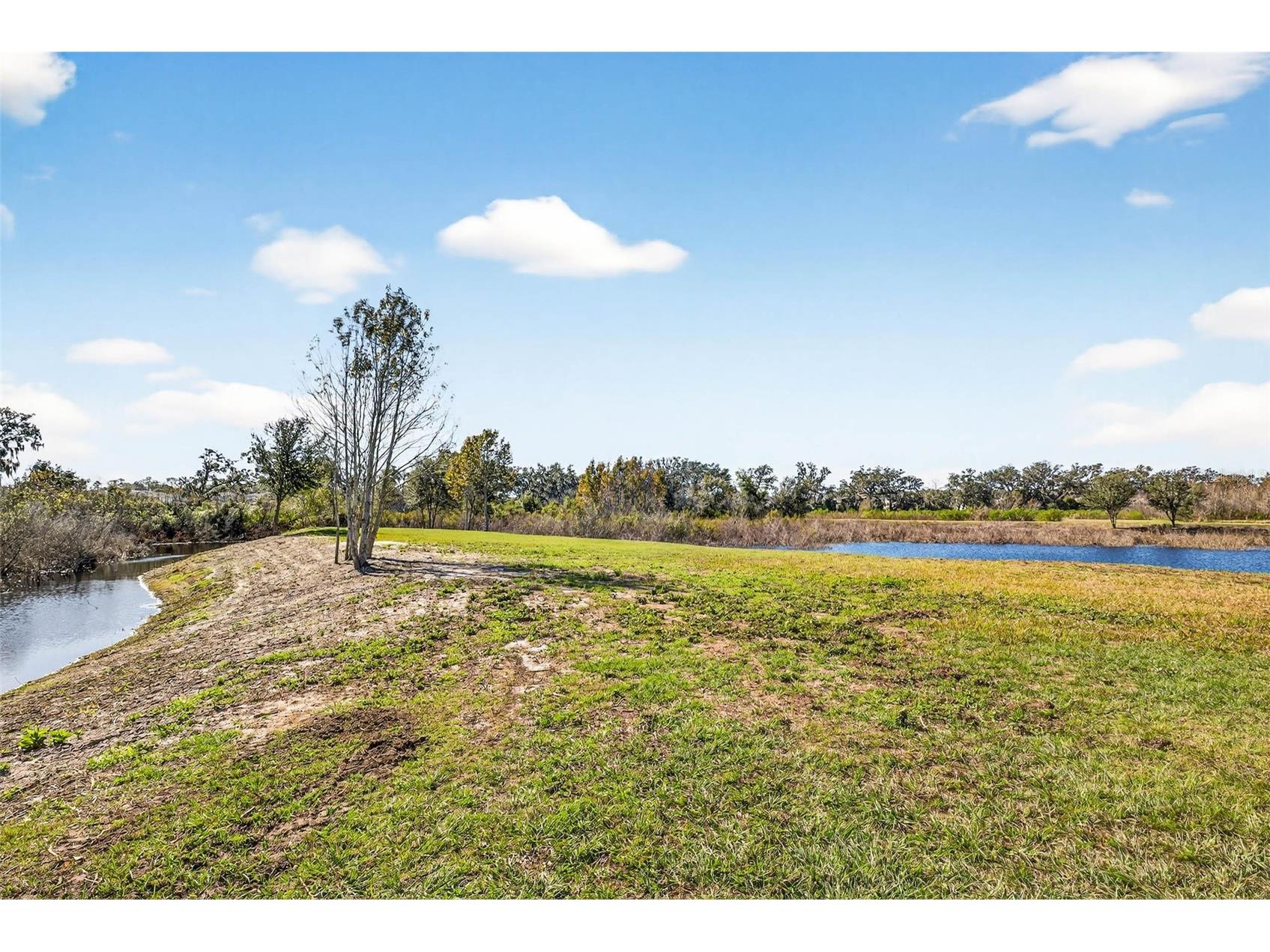 6750 Sutton Oaks Lane Zephyrhills FL 33541 TB8461931 image71