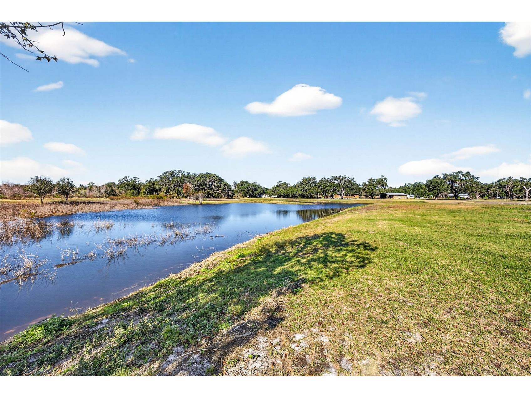 6750 Sutton Oaks Lane Zephyrhills FL 33541 TB8461931 image72