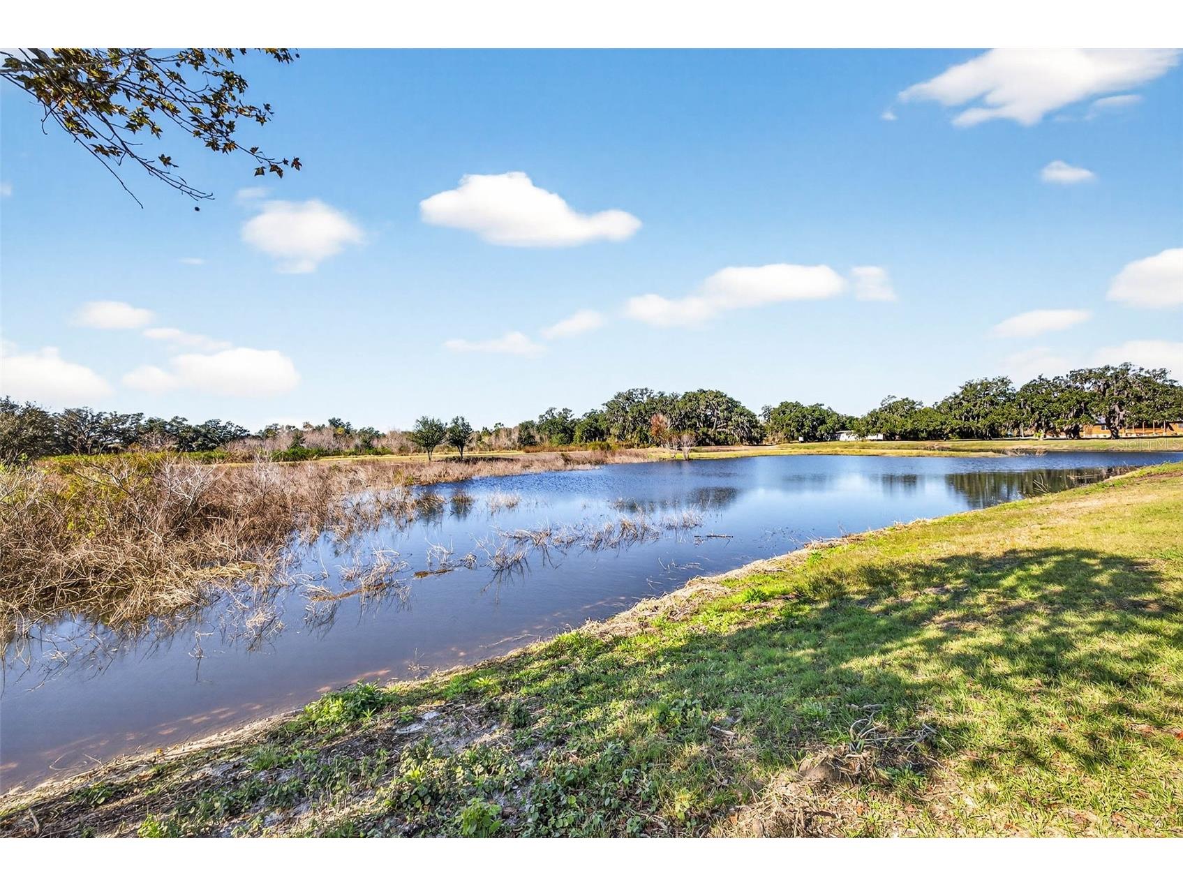 6750 Sutton Oaks Lane Zephyrhills FL 33541 TB8461931 image73