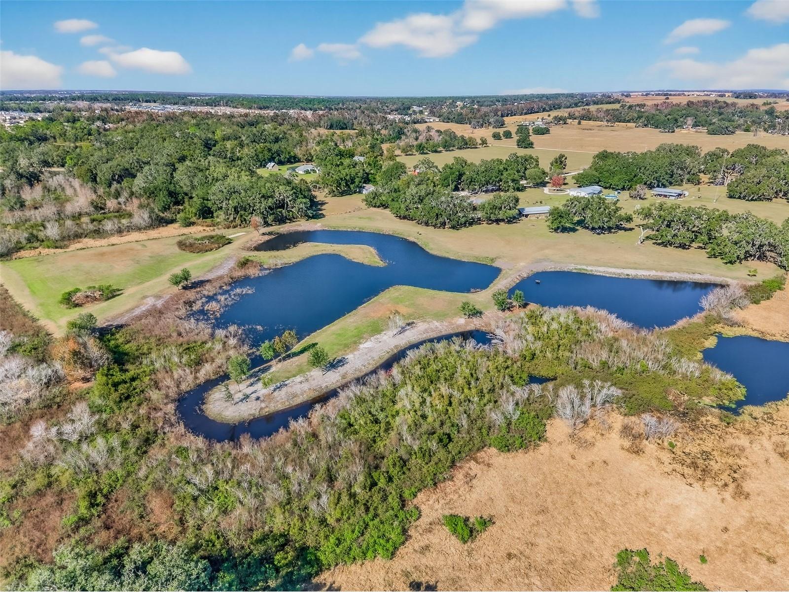 6750 Sutton Oaks Lane Zephyrhills FL 33541 TB8461931 image80