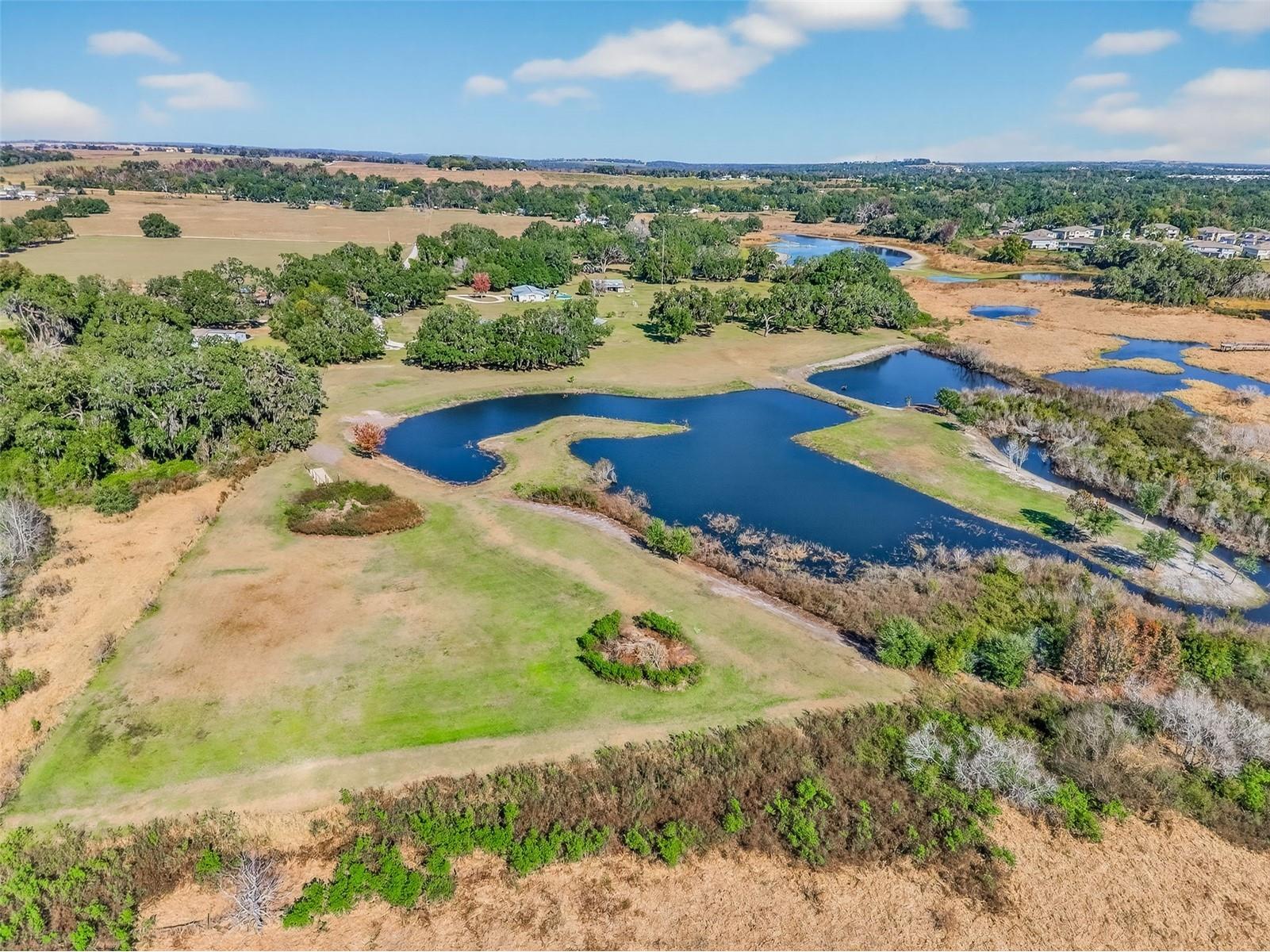 6750 Sutton Oaks Lane Zephyrhills FL 33541 TB8461931 image81