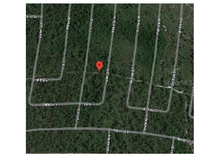 6751 Venetia Drive Sebring FL 33872 T3495999 image1