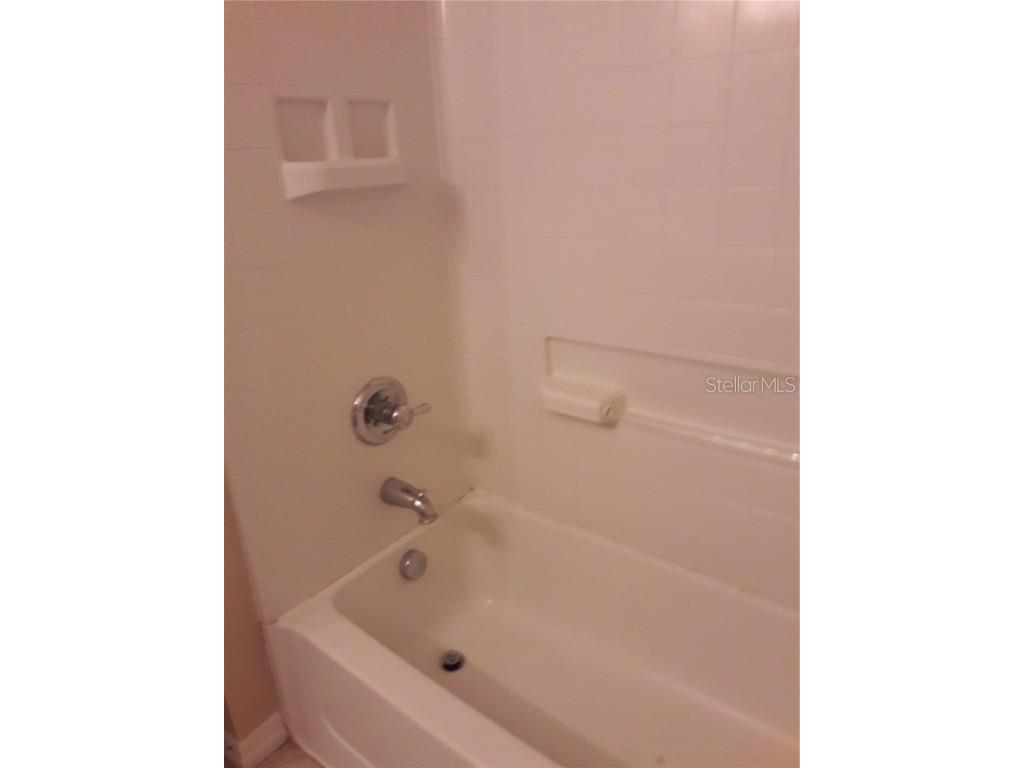 6752 Eagle Feather Drive Riverview FL 33578 TB8435423 image21