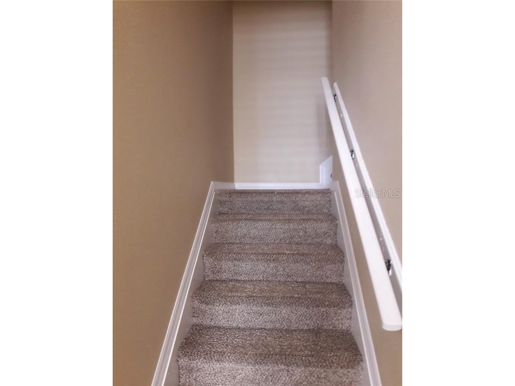 6752 Eagle Feather Drive Riverview FL 33578 TB8435423 image8