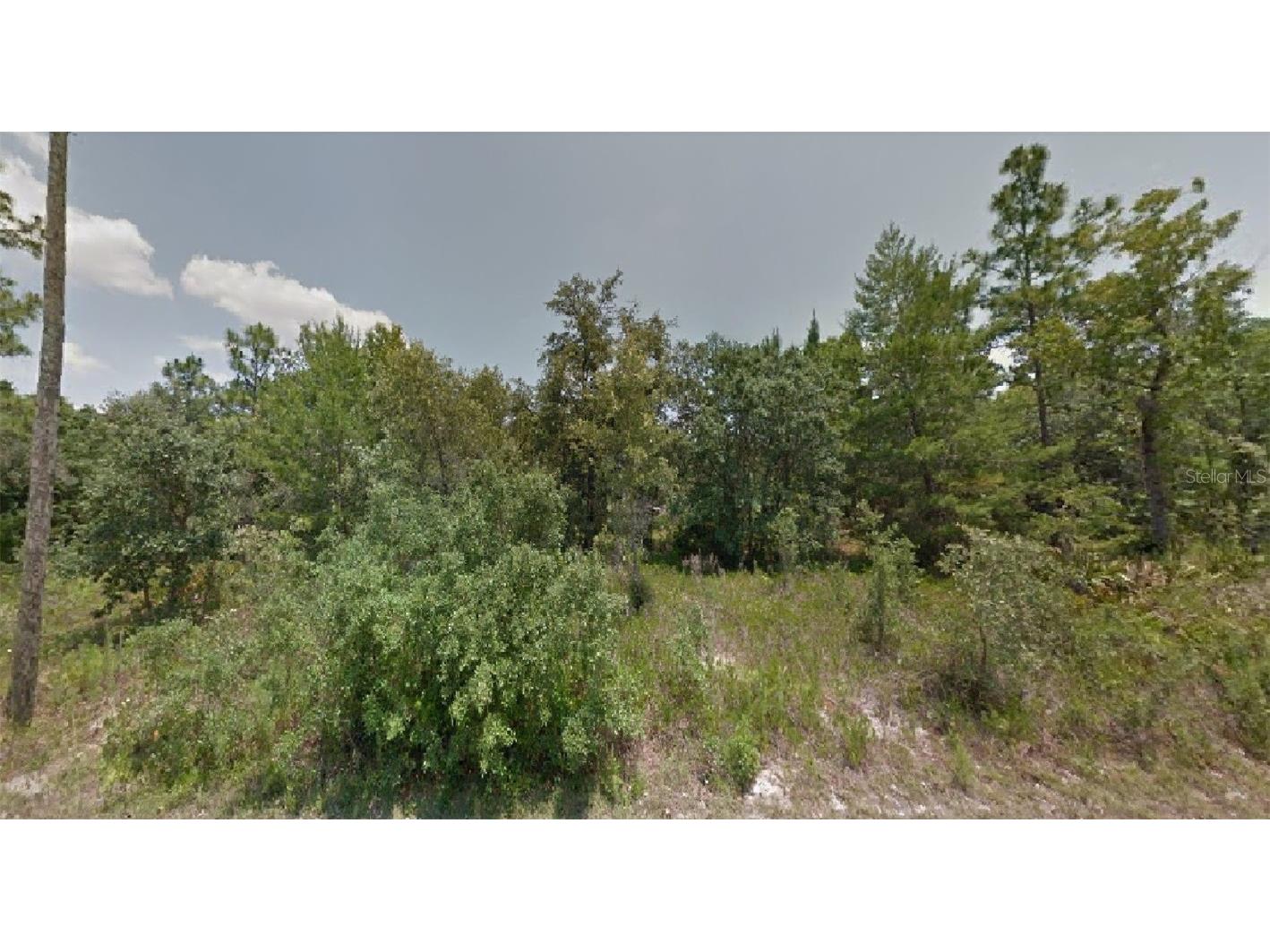 6753 W Merrivale Lane Homosassa FL 34446 O6085593 image1