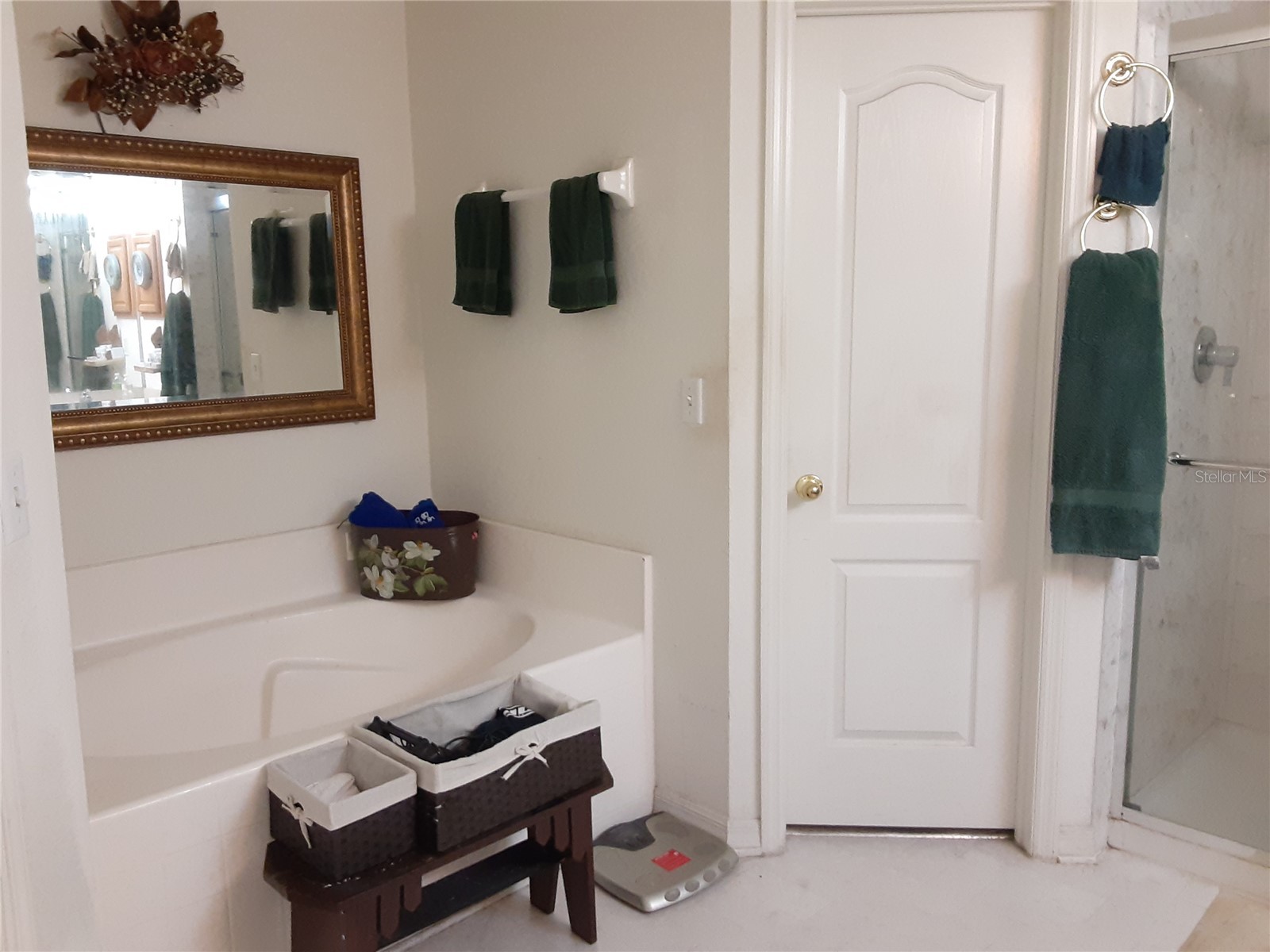 6759 Ashbury Drive Lakeland FL 33809 L4949909 image11