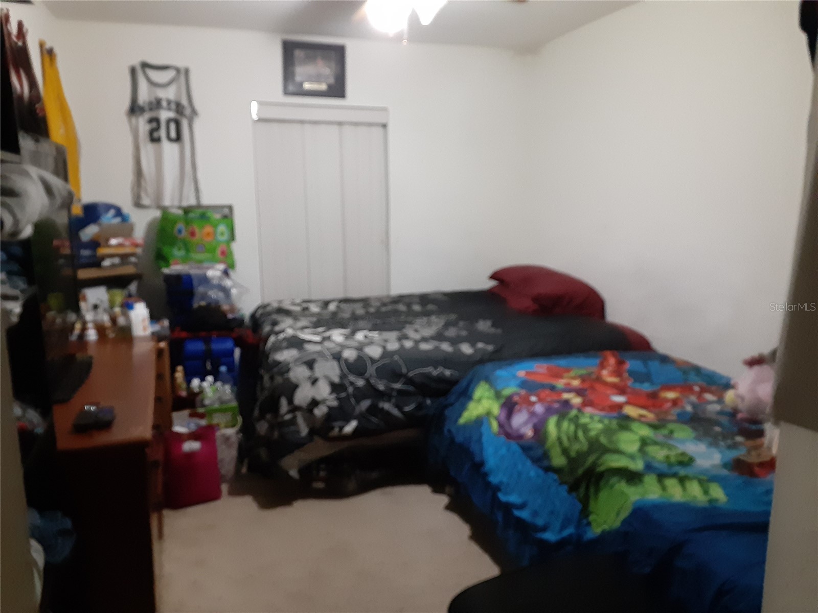 6759 Ashbury Drive Lakeland FL 33809 L4949909 image16