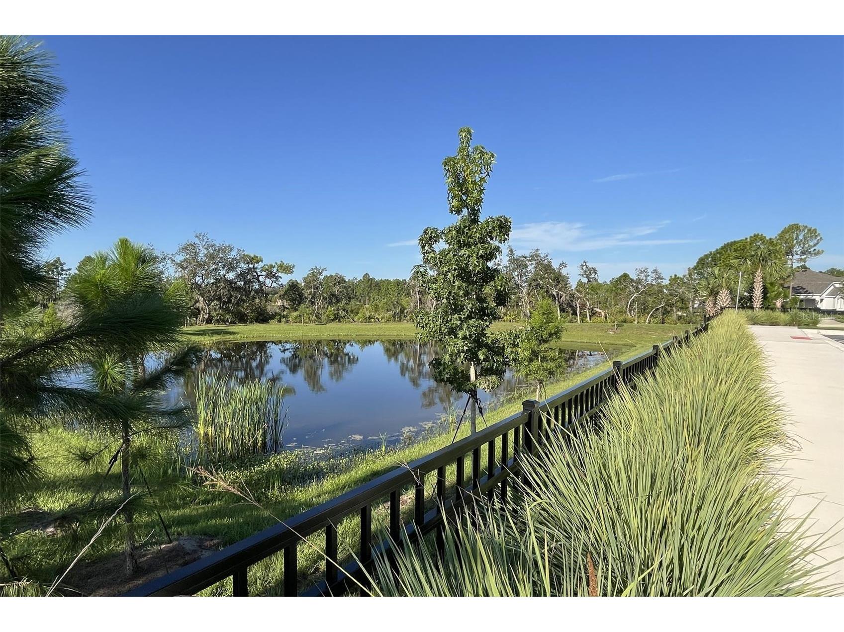 676 Birdswill Lane Deland FL 32724 O6368563 image9