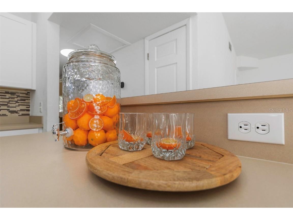 676 Orangewood Drive Dunedin FL 34698 TB8436191 image15